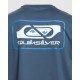 Quiksilver Sale Boys 8 16 Mix Surf Short Sleeve Surf T Shirt