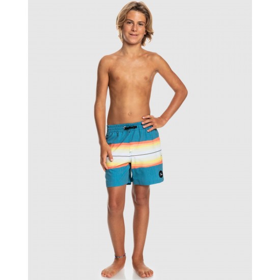 Quiksilver Outlet Boys 8 16 Resin Tint 14" Swim Shorts