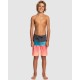 Quiksilver Outlet Boys 8 16 Everyday Panel 17" Boardshorts