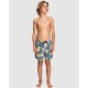 Quiksilver Online Boys 8 16 Washed Session 14" Swim Shorts